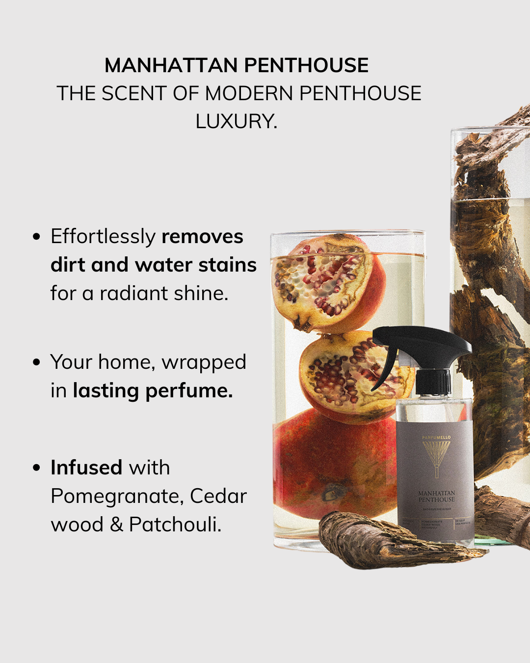 Bathroom cleaner Manhattan Penthouse