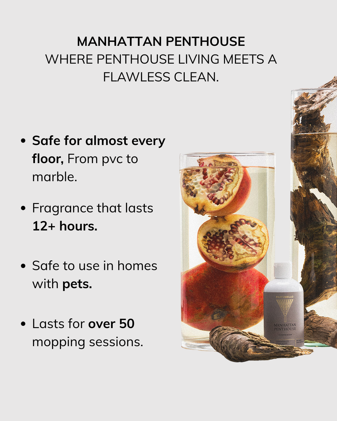 Floor cleaner Manhattan Penthouse