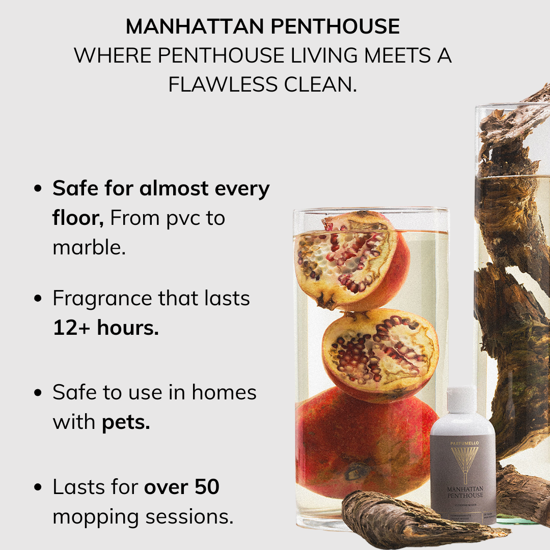 Vloerreiniger Manhattan Penthouse