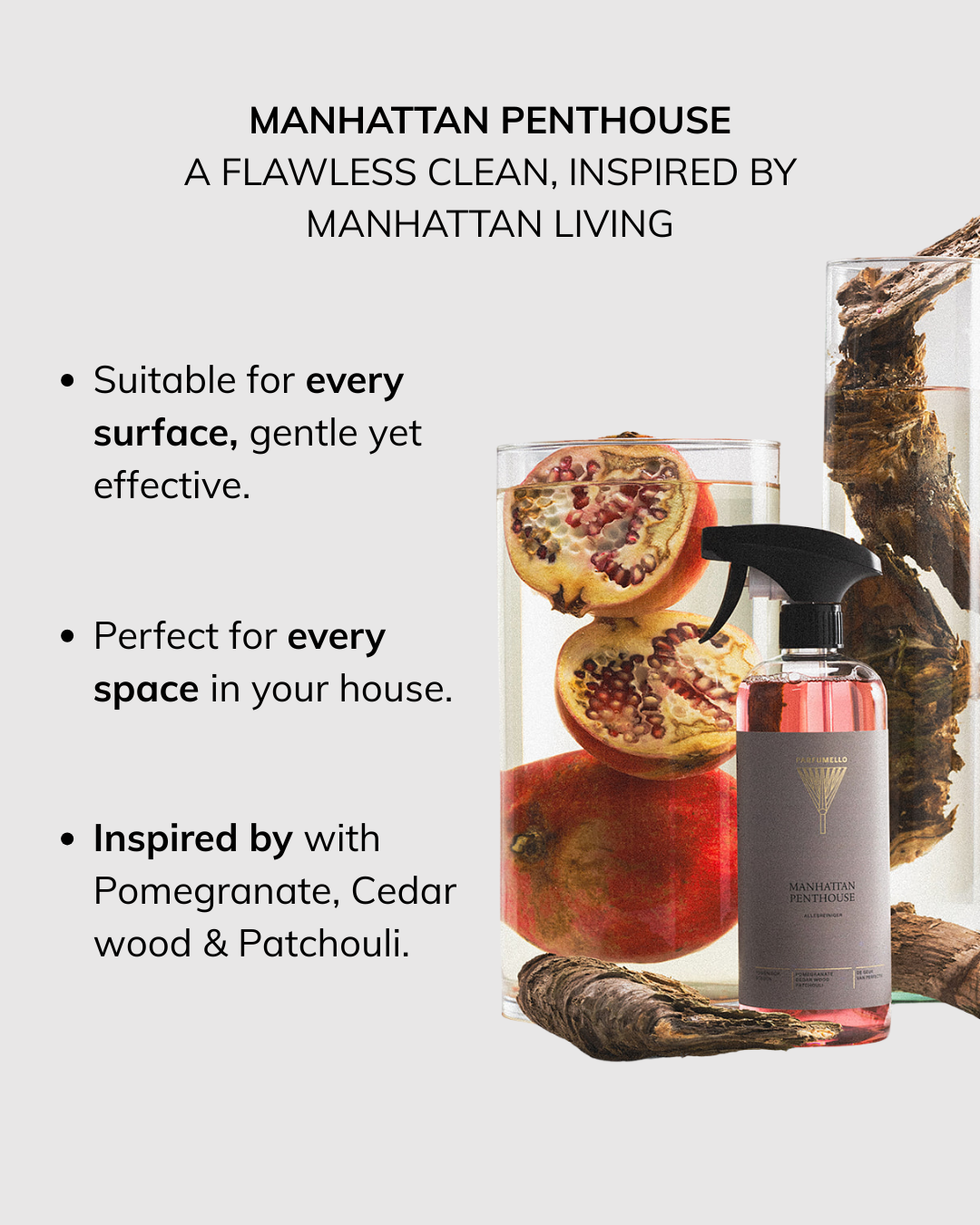 Surface cleaner Manhattan Penthouse