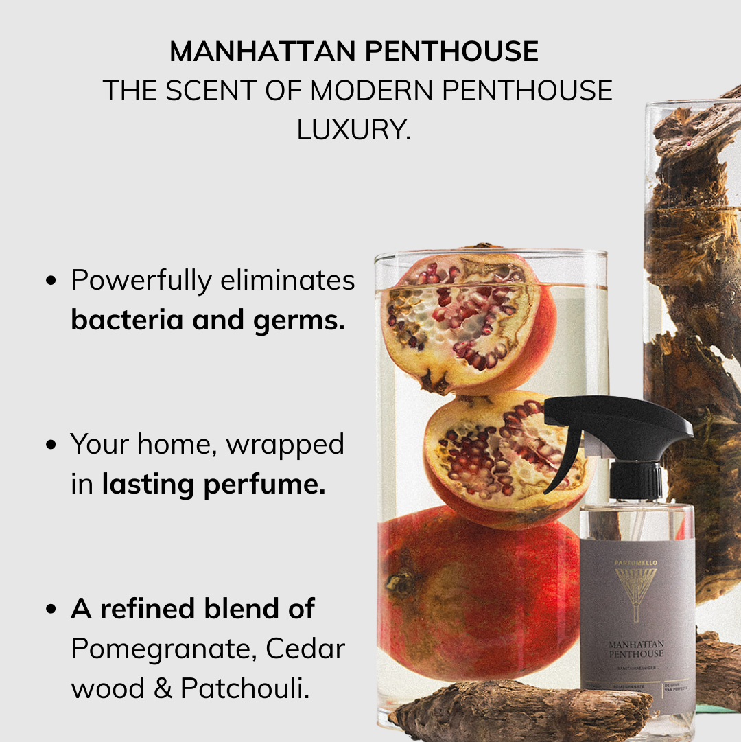 Sanitairreiniger Manhattan Penthouse