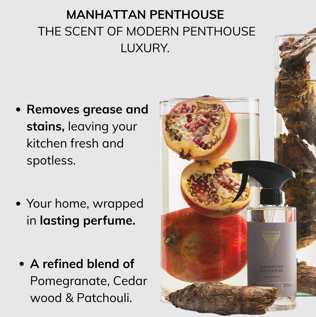 Kitchen cleaner Manhattan Penthouse