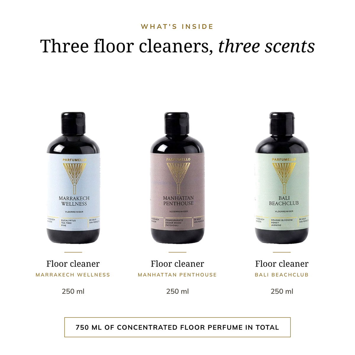 Autumn Essentials Set