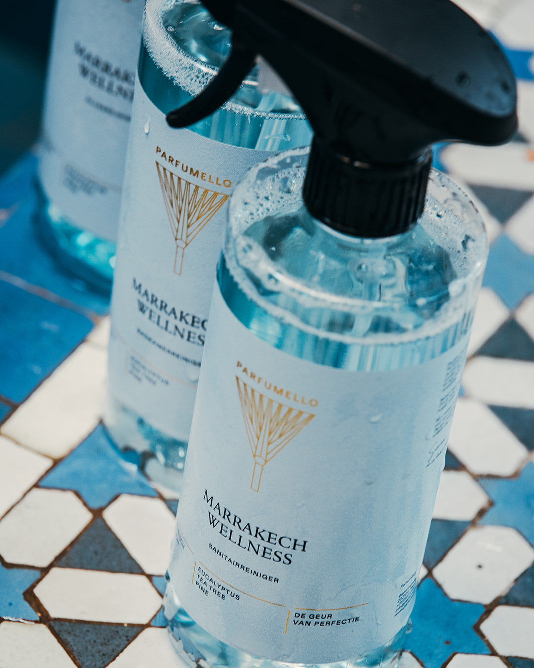 Sanitary cleaner Marrakech Wellness