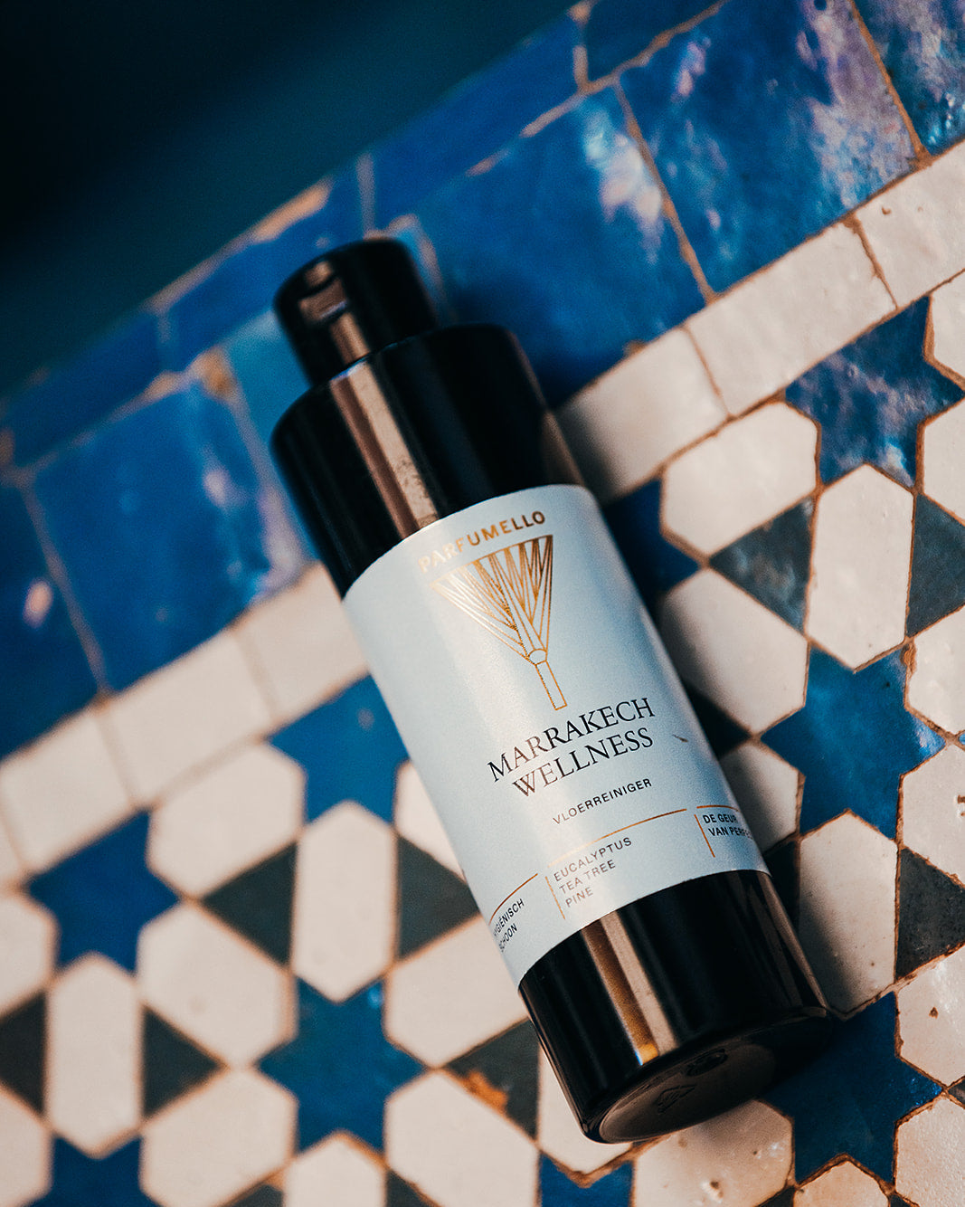 Floor cleaner Marrakech Wellness