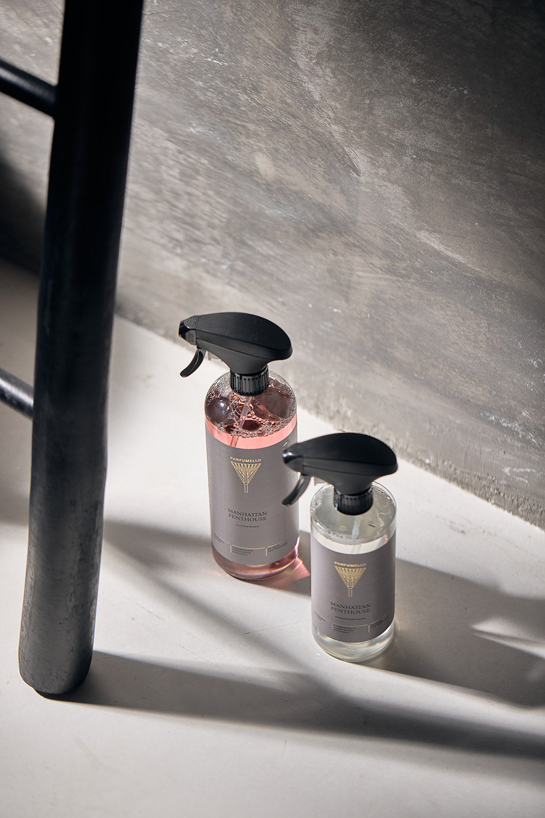 Sanitary cleaner Manhattan Penthouse
