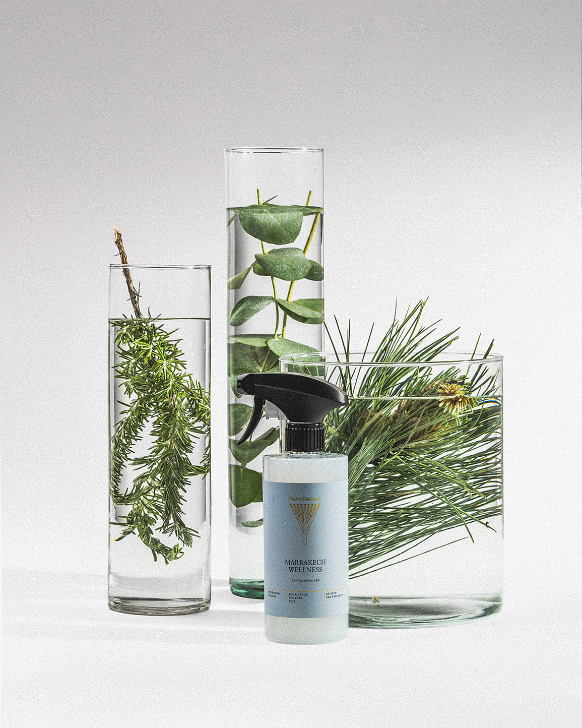 Sanitary cleaner Marrakech Wellness