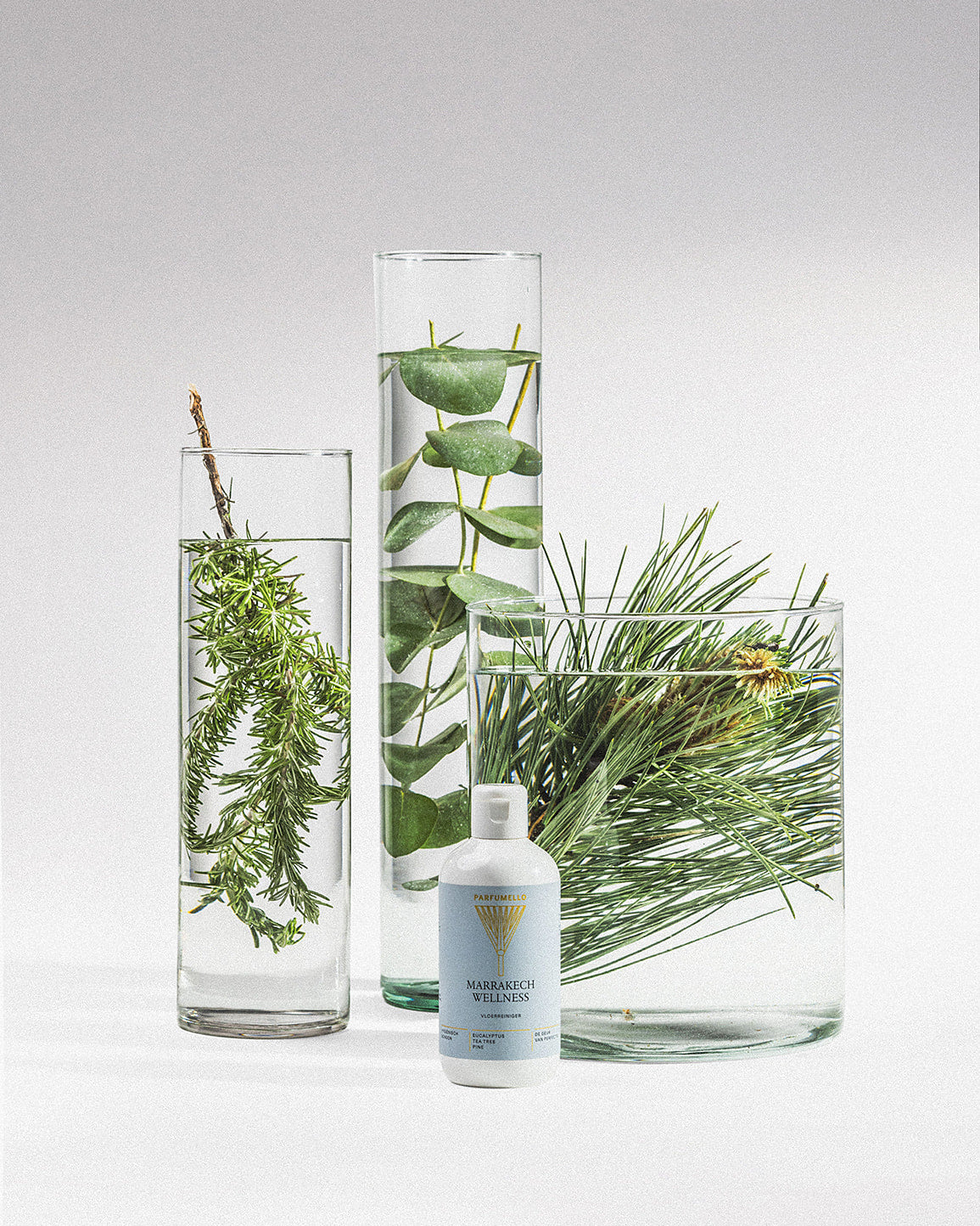 Floor cleaner Marrakech Wellness