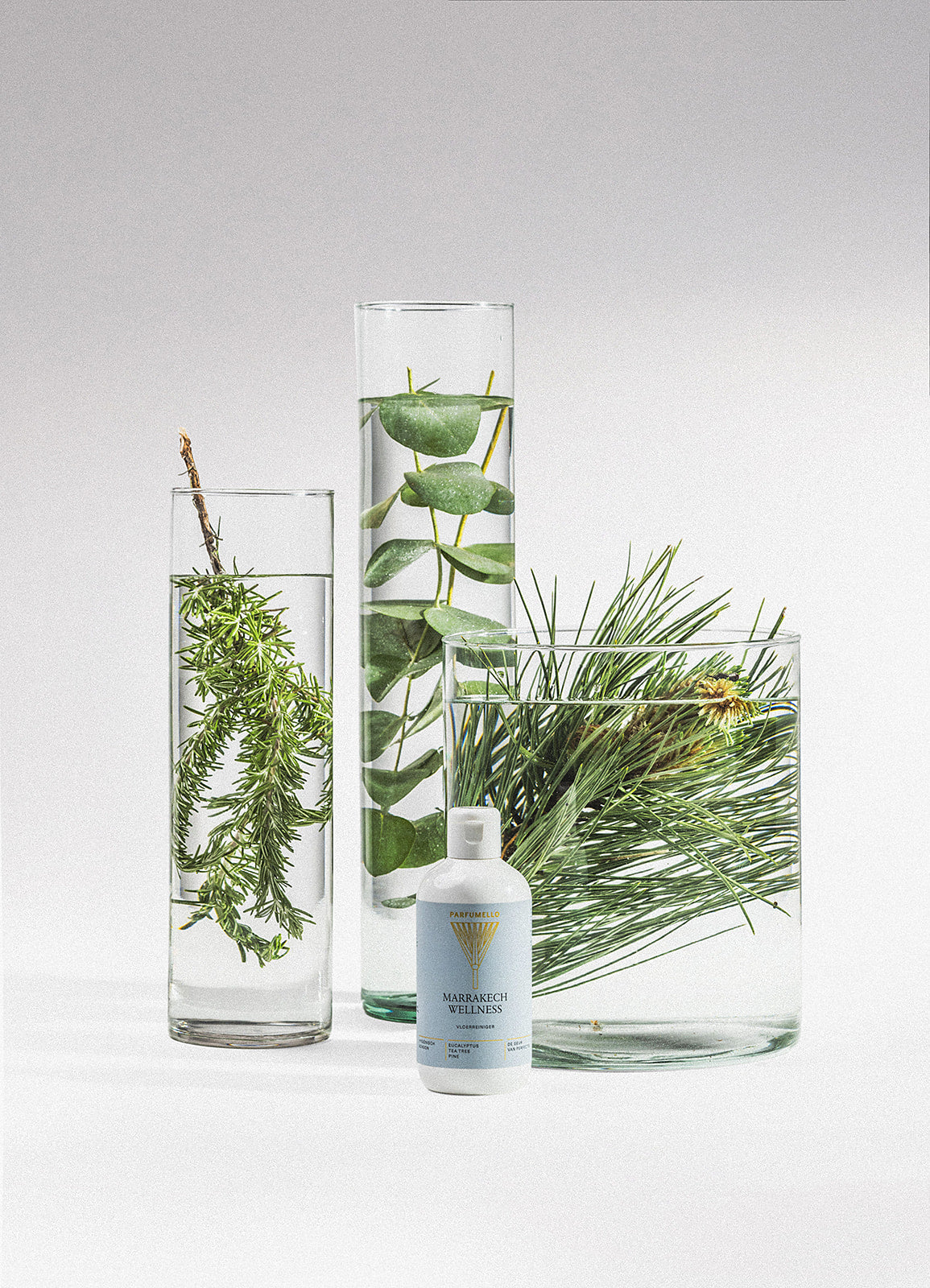 Floor cleaner Marrakech Wellness