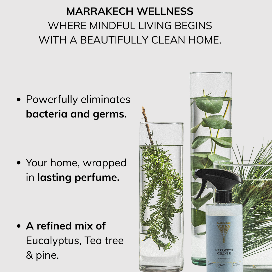 Sanitary cleaner Marrakech Wellness
