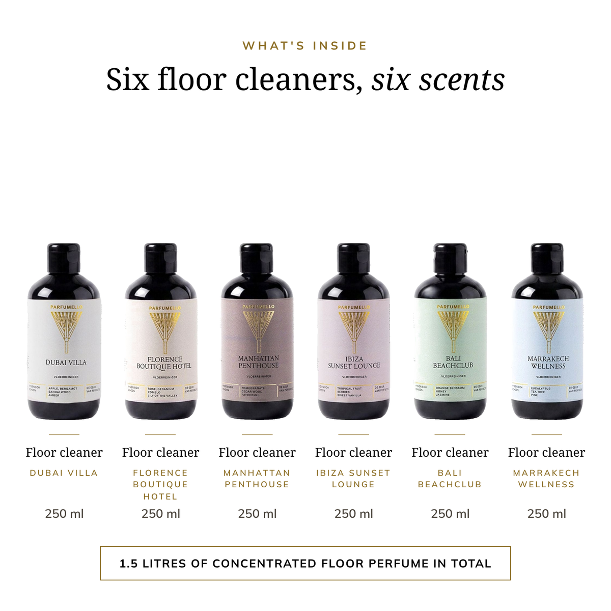 The ultimate floor cleaner set