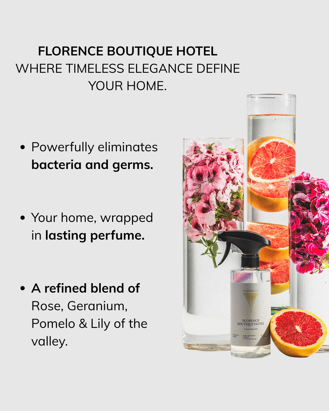 Sanitary cleaner Florence Boutique Hotel