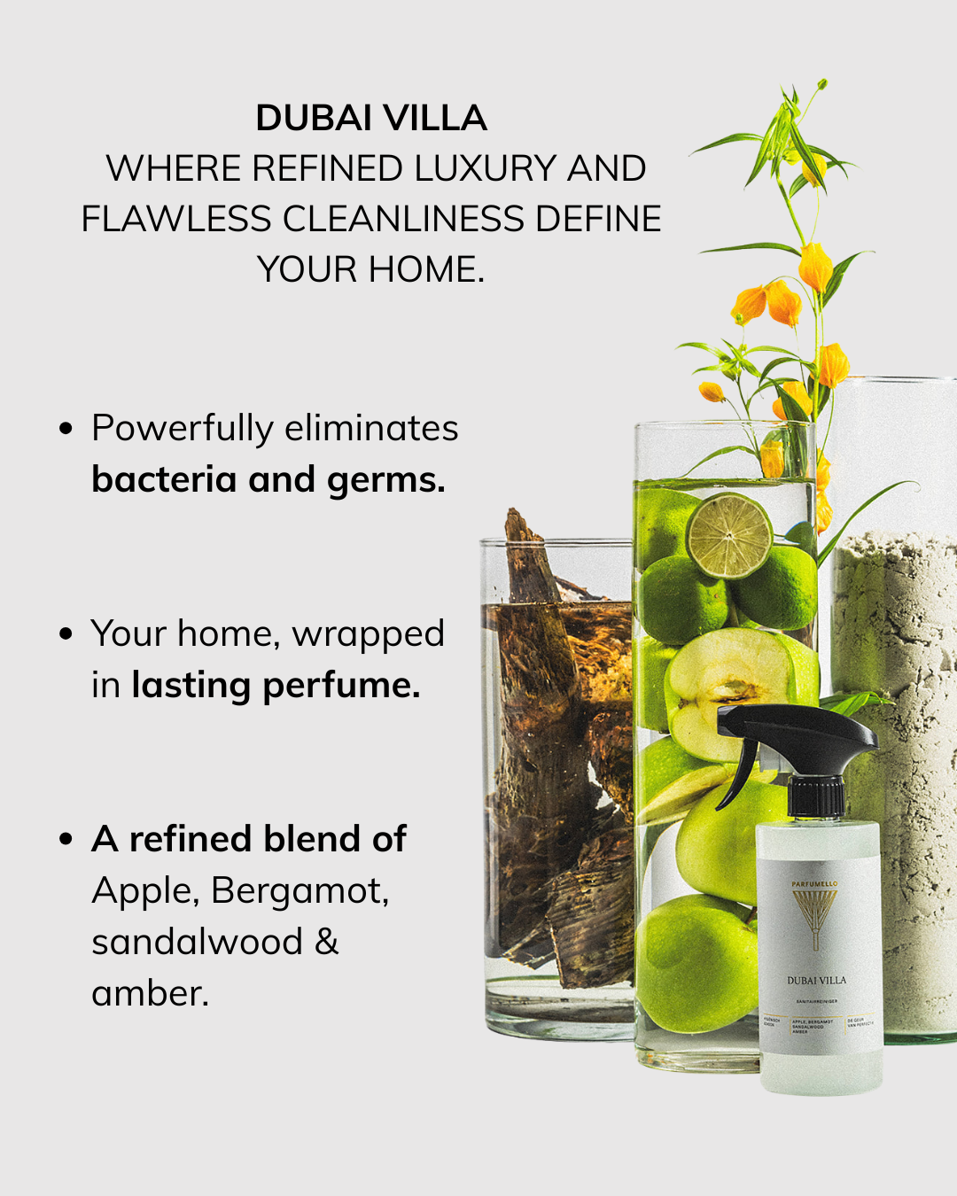 Sanitary cleaner Dubai Villa