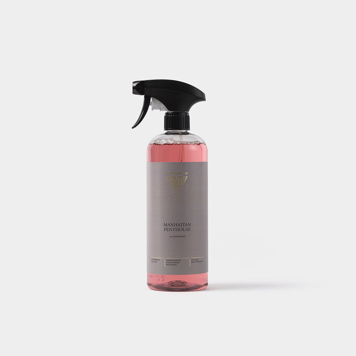 Surface cleaner Manhattan Penthouse