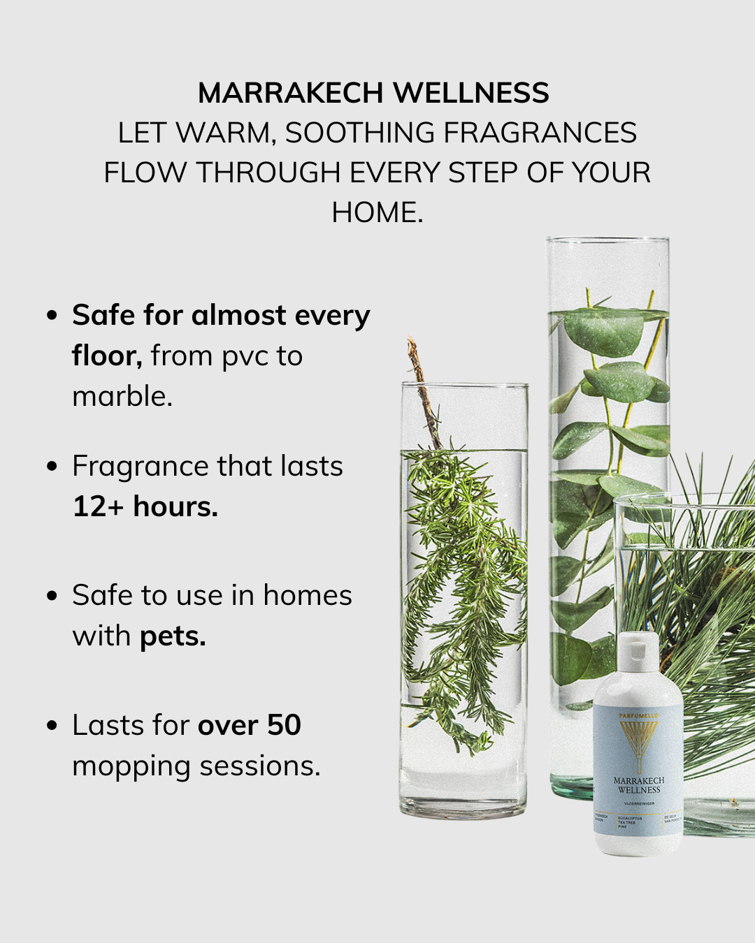 Floor cleaner Marrakech Wellness