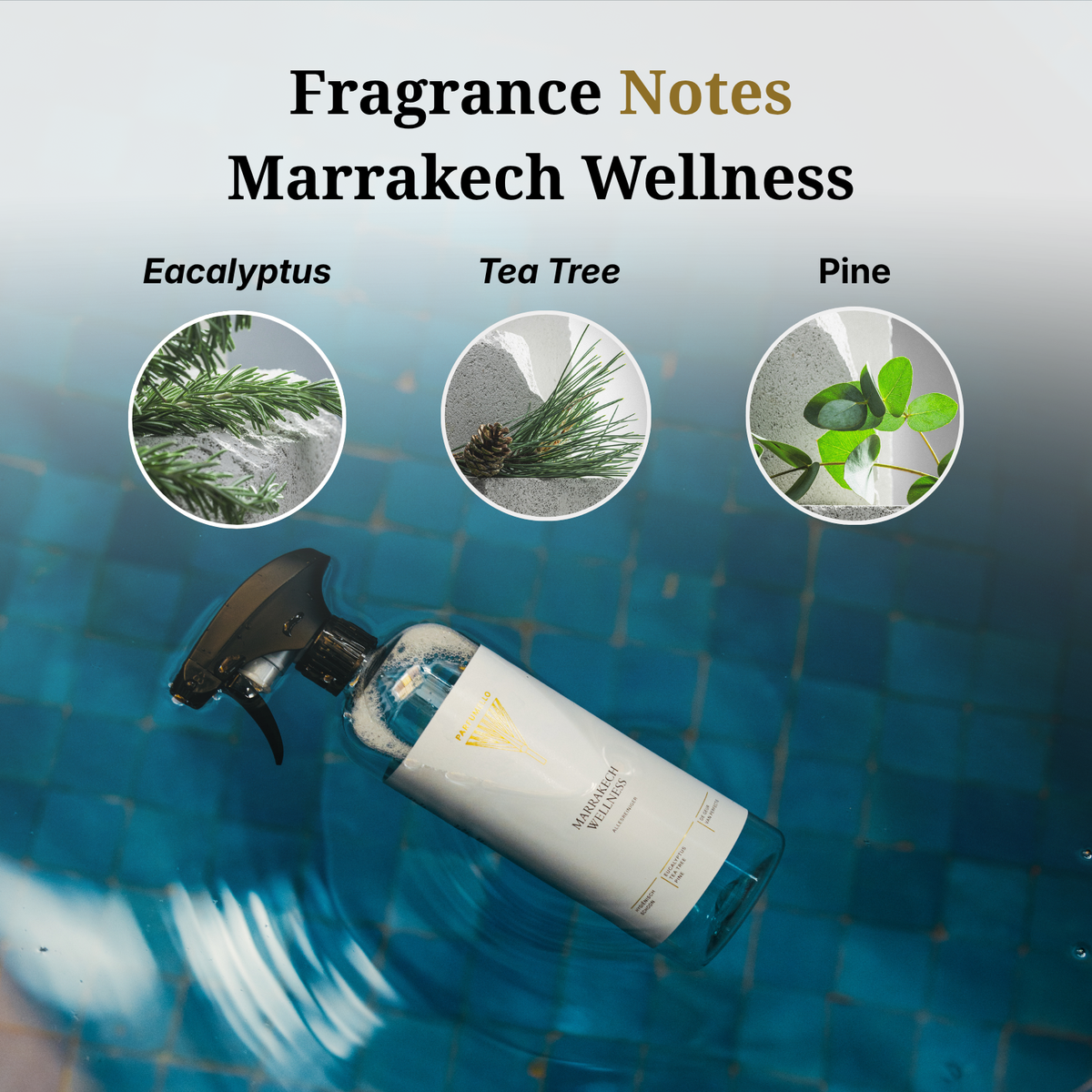 Allesreiniger Marrakech Wellness