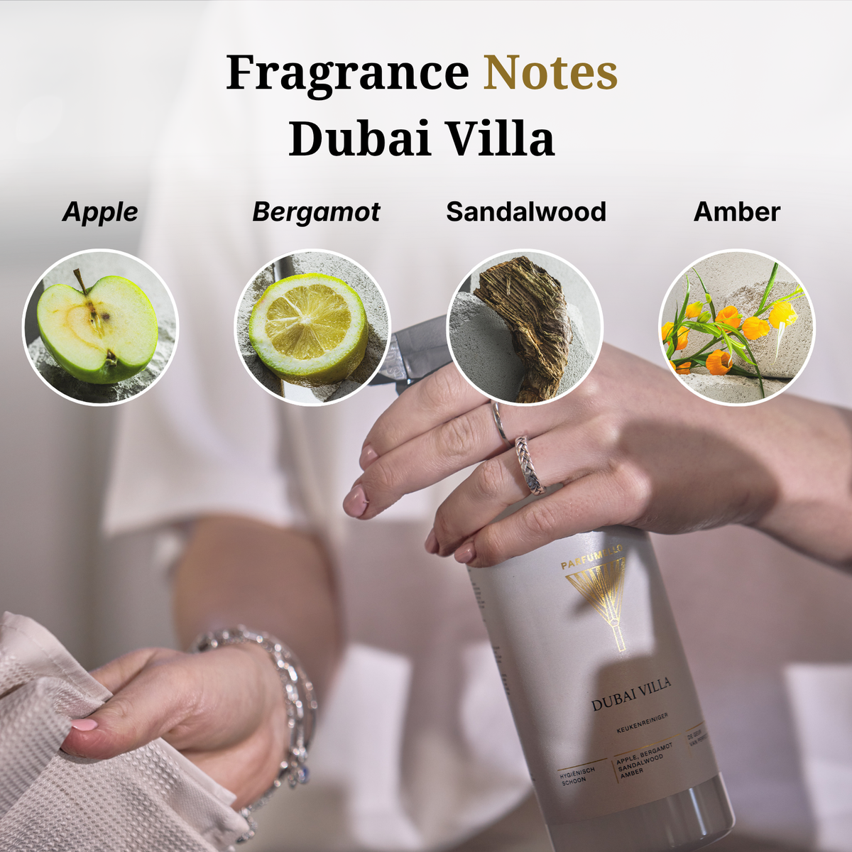 Allesreiniger Dubai Villa