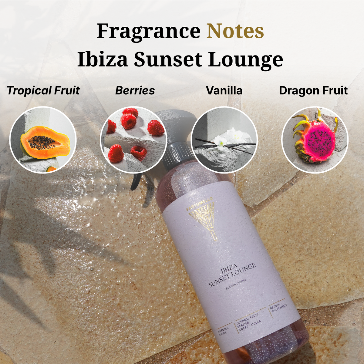 Allesreiniger Ibiza Sunset Lounge
