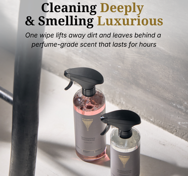 Surface cleaner Manhattan Penthouse