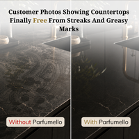 Surface cleaner Manhattan Penthouse