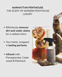 Bathroom cleaner Manhattan Penthouse