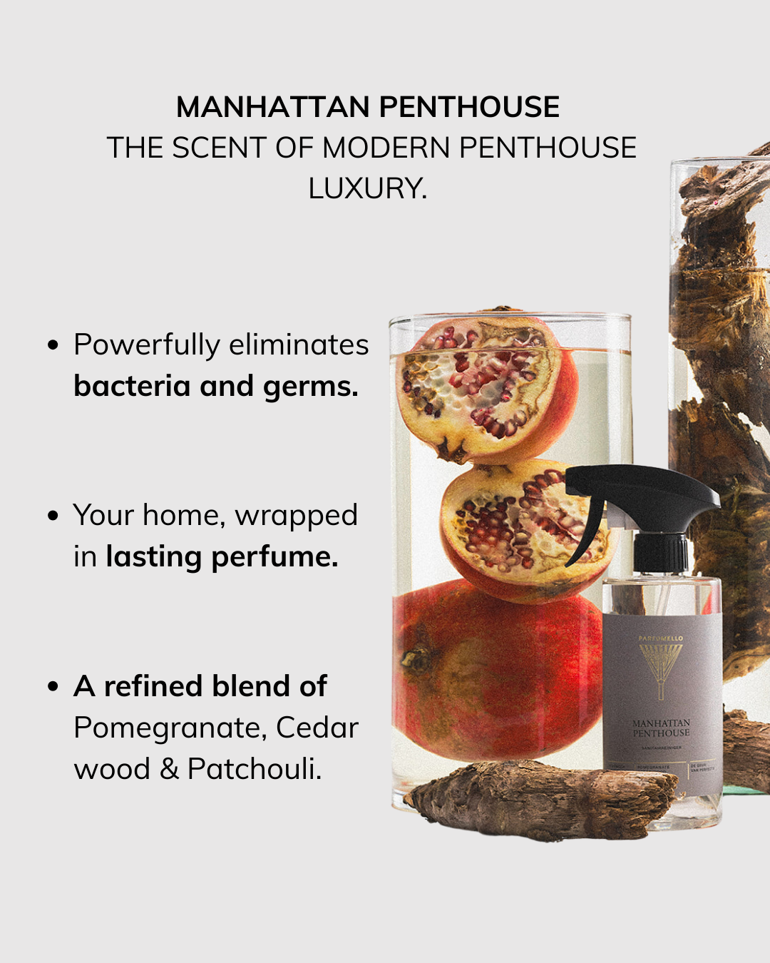 Sanitary cleaner Manhattan Penthouse