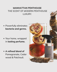 Sanitary cleaner Manhattan Penthouse