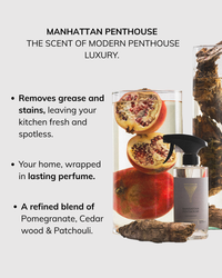 Kitchen cleaner Manhattan Penthouse