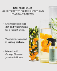 Bathroom cleaner Bali Beachclub