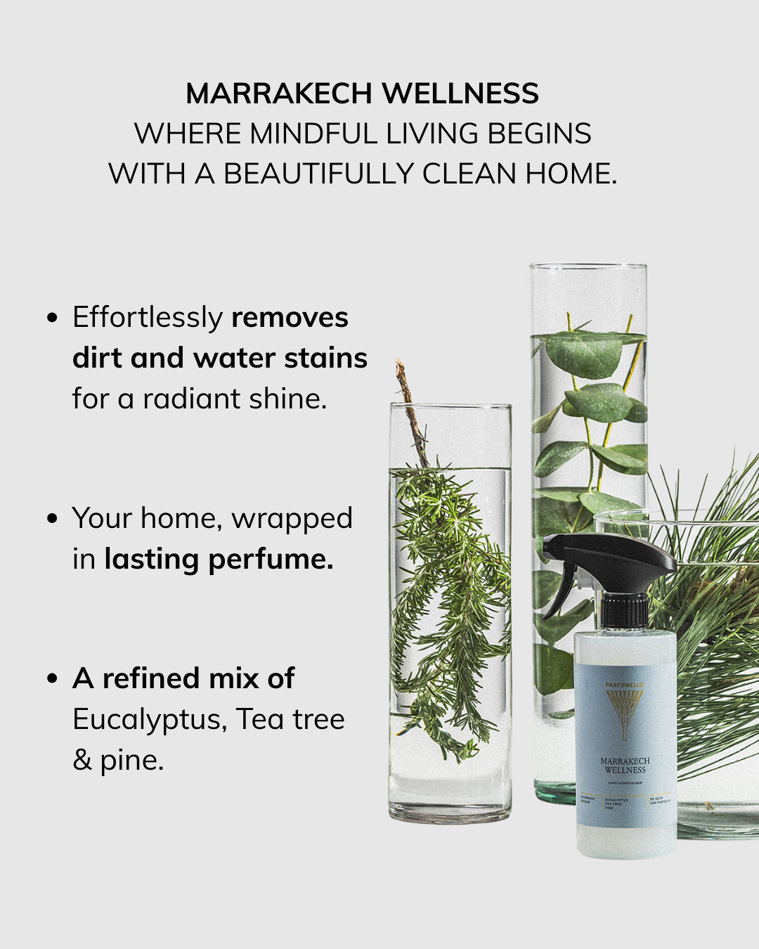 Bathroom cleaner Marrakech Wellness