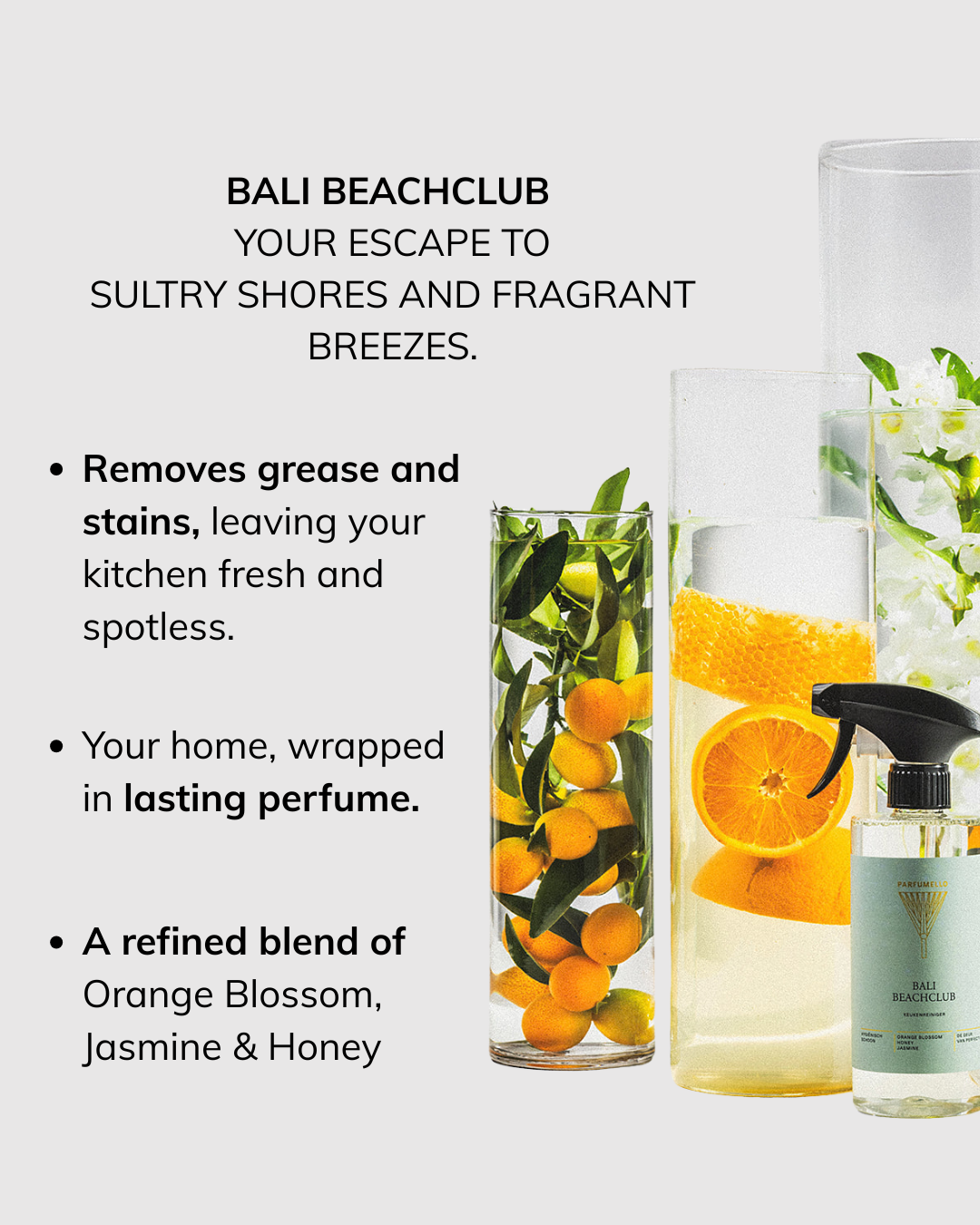 Kitchen cleaner Bali Beachclub
