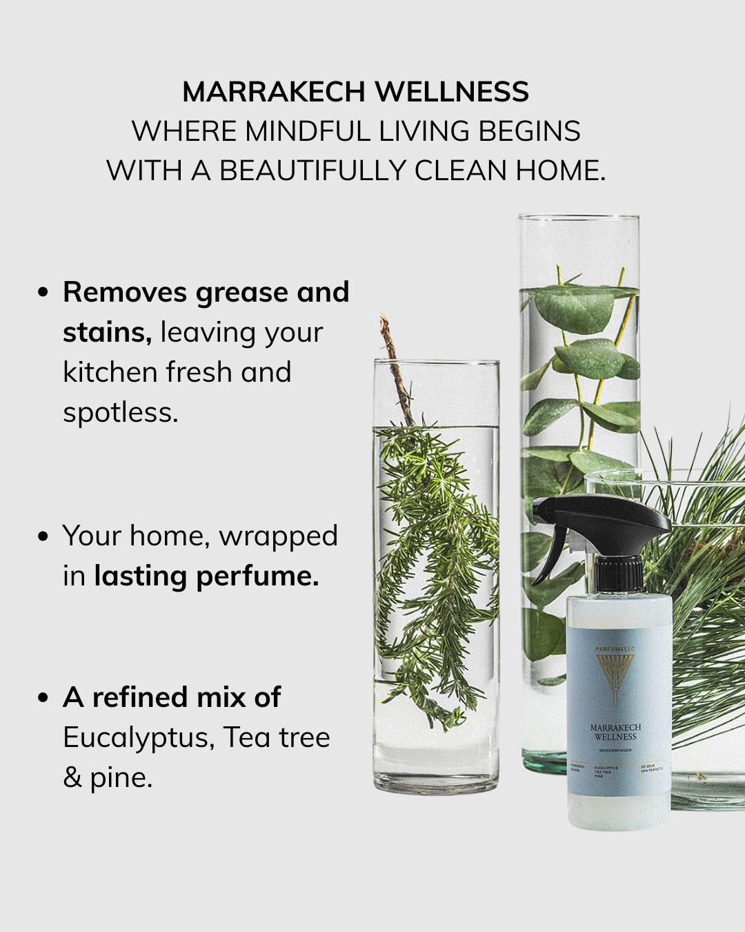 Kitchen cleaner Marrakech Wellness