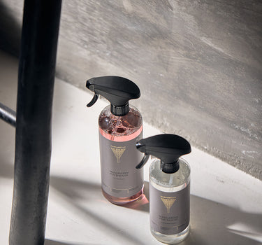 Sanitary cleaner Manhattan Penthouse