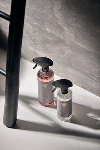 Sanitary cleaner Manhattan Penthouse
