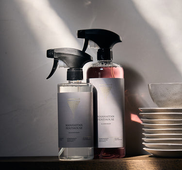 Kitchen cleaner Manhattan Penthouse