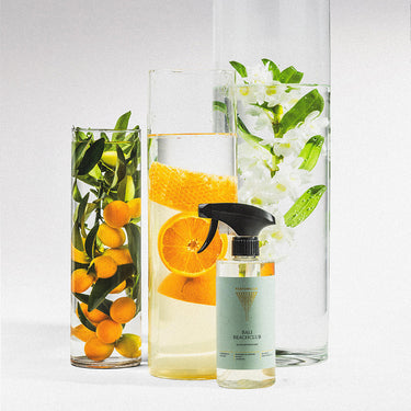 Bathroom cleaner Bali Beachclub