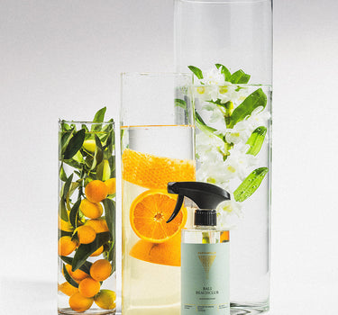 Sanitairreiniger Bali Beachclub