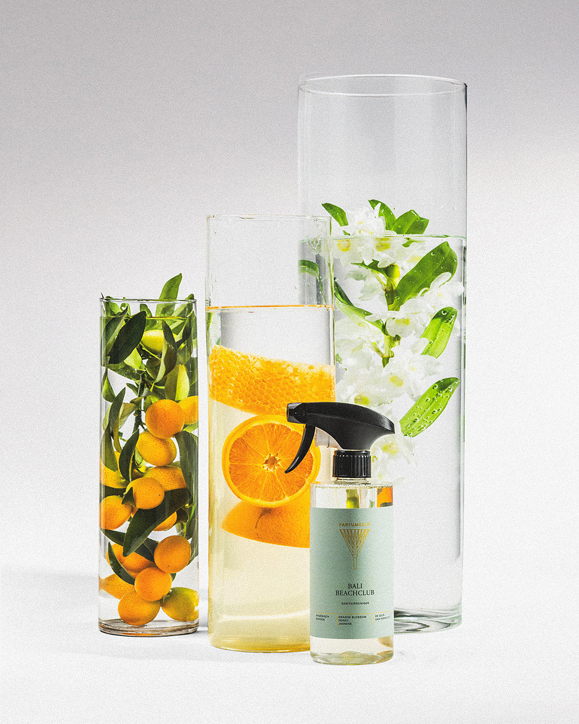 Sanitary cleaner Bali Beachclub