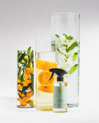 Sanitary cleaner Bali Beachclub