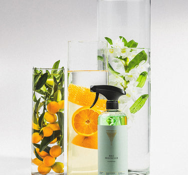 Allesreiniger Bali Beachclub