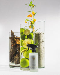 Kitchen cleaner Dubai Villa