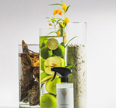 Sanitairreiniger Dubai Villa