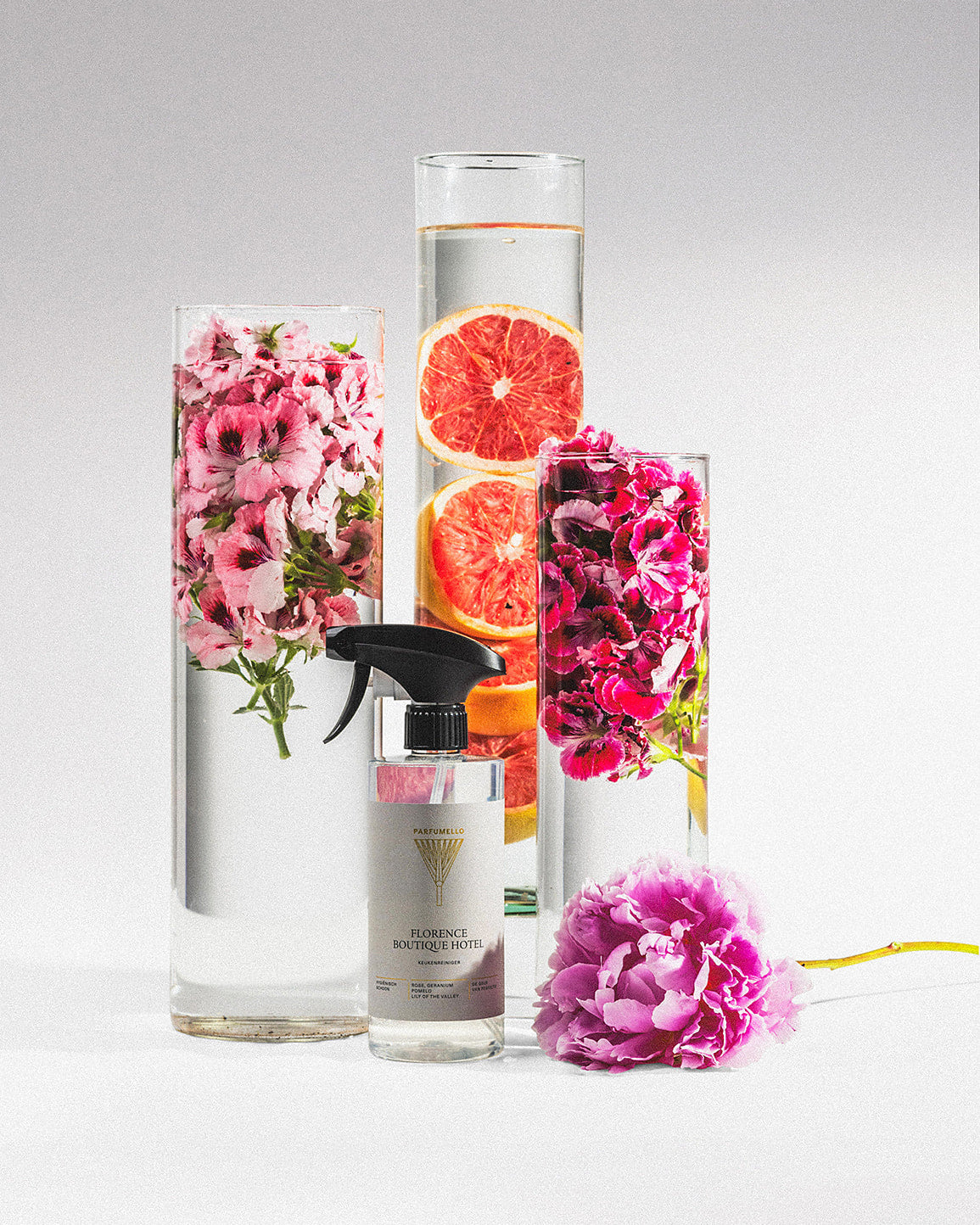 Kitchen cleaner Florence Boutique Hotel