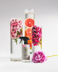 Kitchen cleaner Florence Boutique Hotel