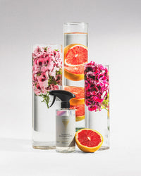 Sanitary cleaner Florence Boutique Hotel