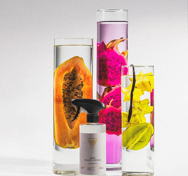 Sanitary cleaner Ibiza Sunset Lounge