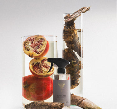 Keukenreiniger Manhattan Penthouse