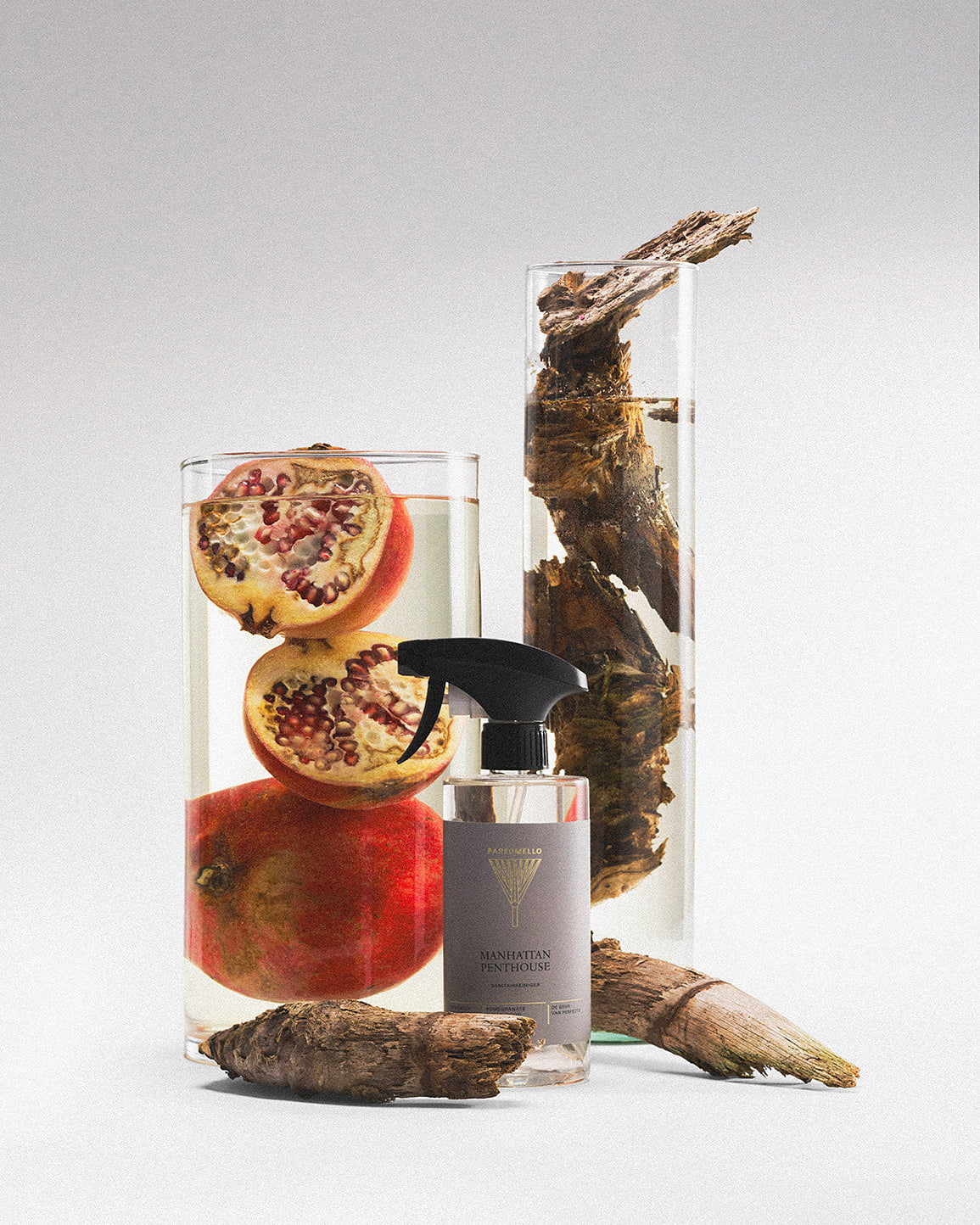 Kitchen cleaner Manhattan Penthouse