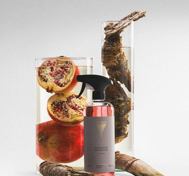 Surface cleaner Manhattan Penthouse