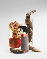 Surface cleaner Manhattan Penthouse